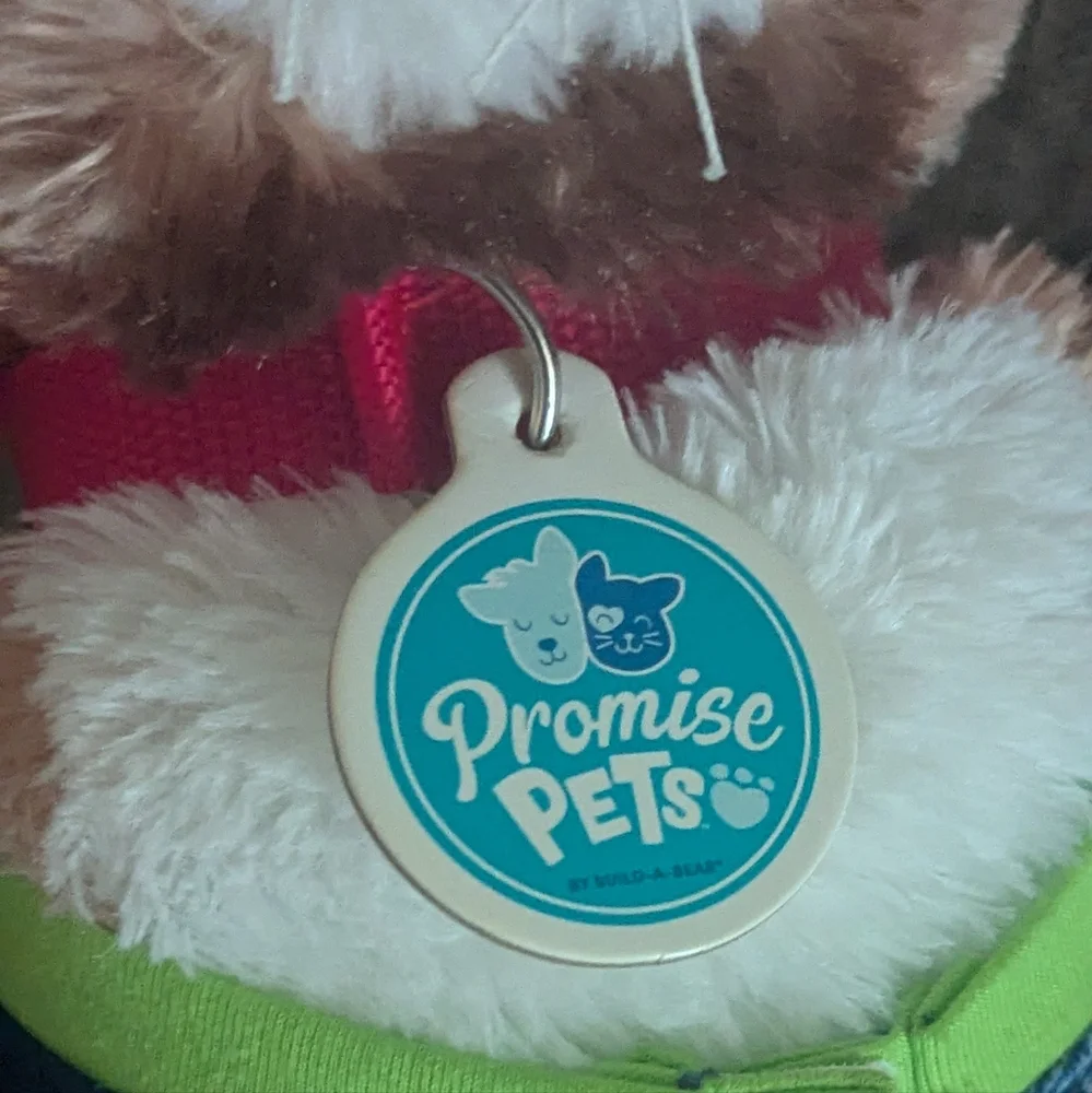 Build-A-Bear 2021 Promise Pet Calico Tortie 14
